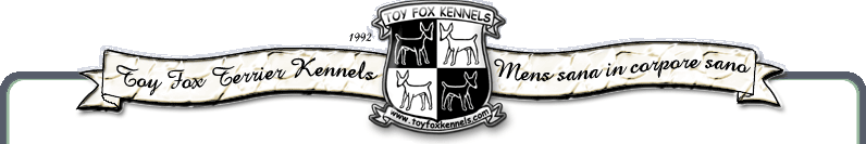 TOY FOX TERRIER KENNELS